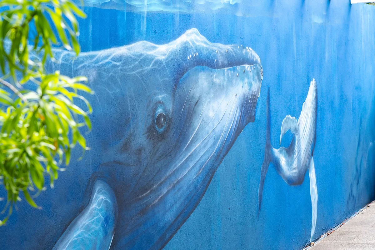 La fresque de L'Ilot Bleu : une baleine à bosse et son petit peints sur un mur bleu